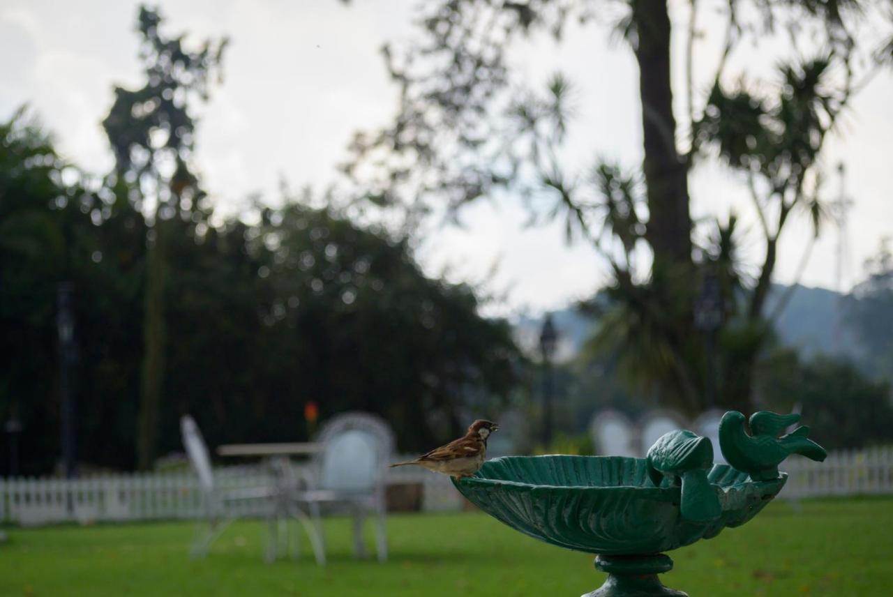 Hotel Savoy - IHCL SeleQtions à Ooty Extérieur photo